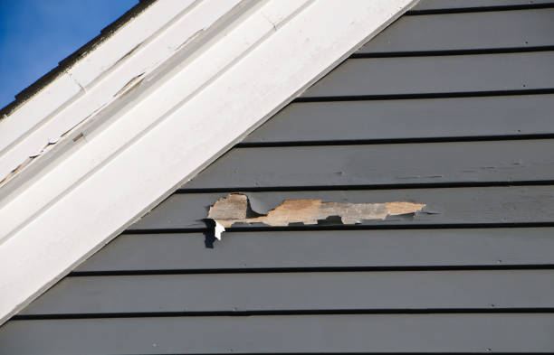 Best Brick Veneer Siding  in Fountain Valley, CA
